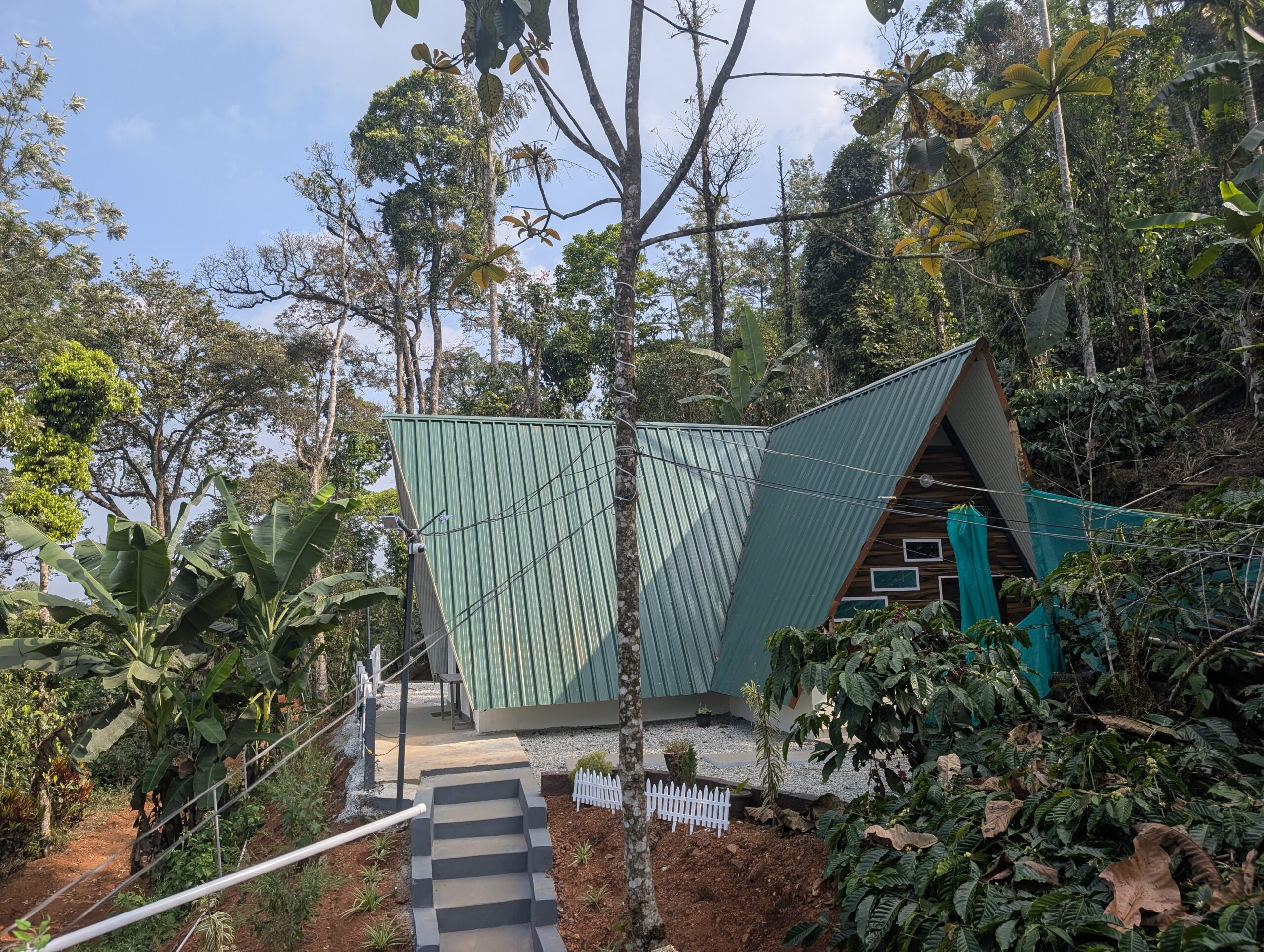 PXL_20260120_094013152.MP