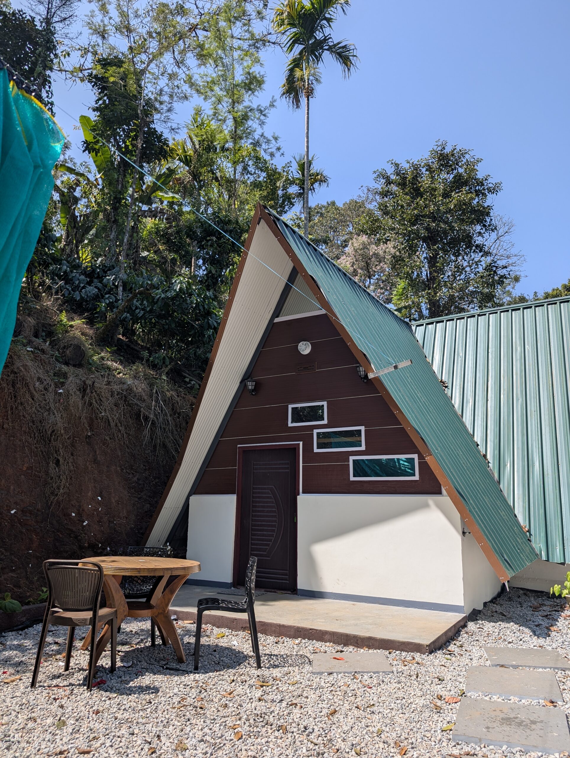 PXL_20260201_065618293.MP